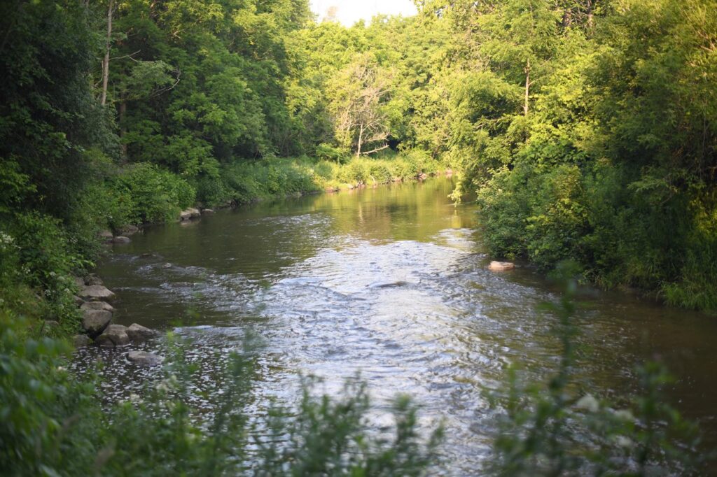Down river view of the Ganaraska, from Sylvan Glen Conservation Area