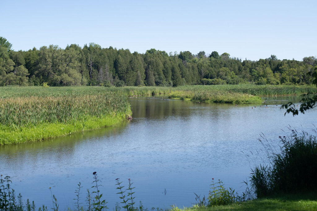 Balls Mill Conservation Area