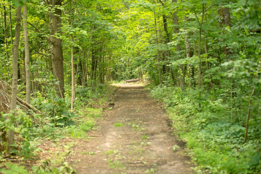 Ganaraska Conservation - About the Ganaraska Forest