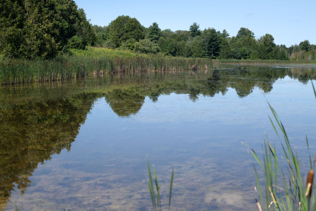 Garden Hill Conservation Area