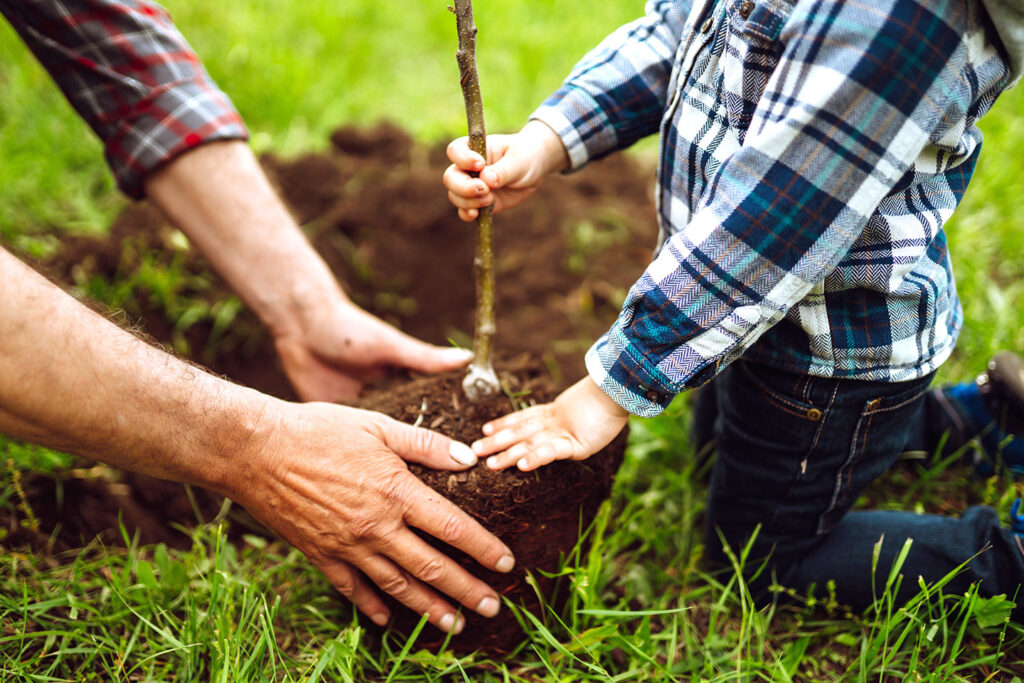 Parent and child planting a tree