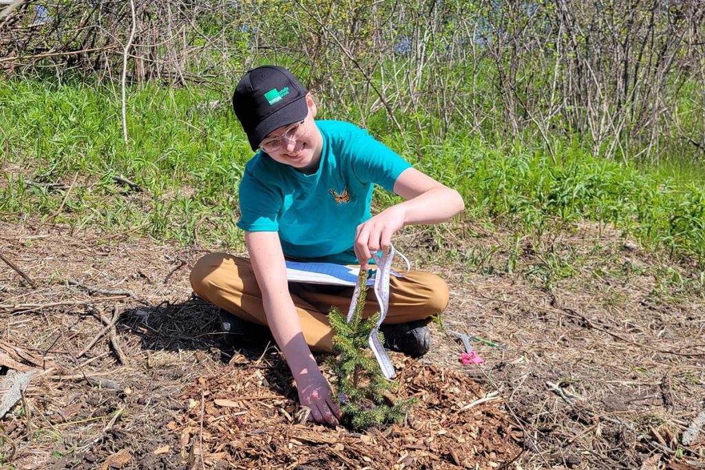 Tree-Planting-Sylvan-Glen-CA Volunteer measures a tree sapling at Sylvan Glen CA