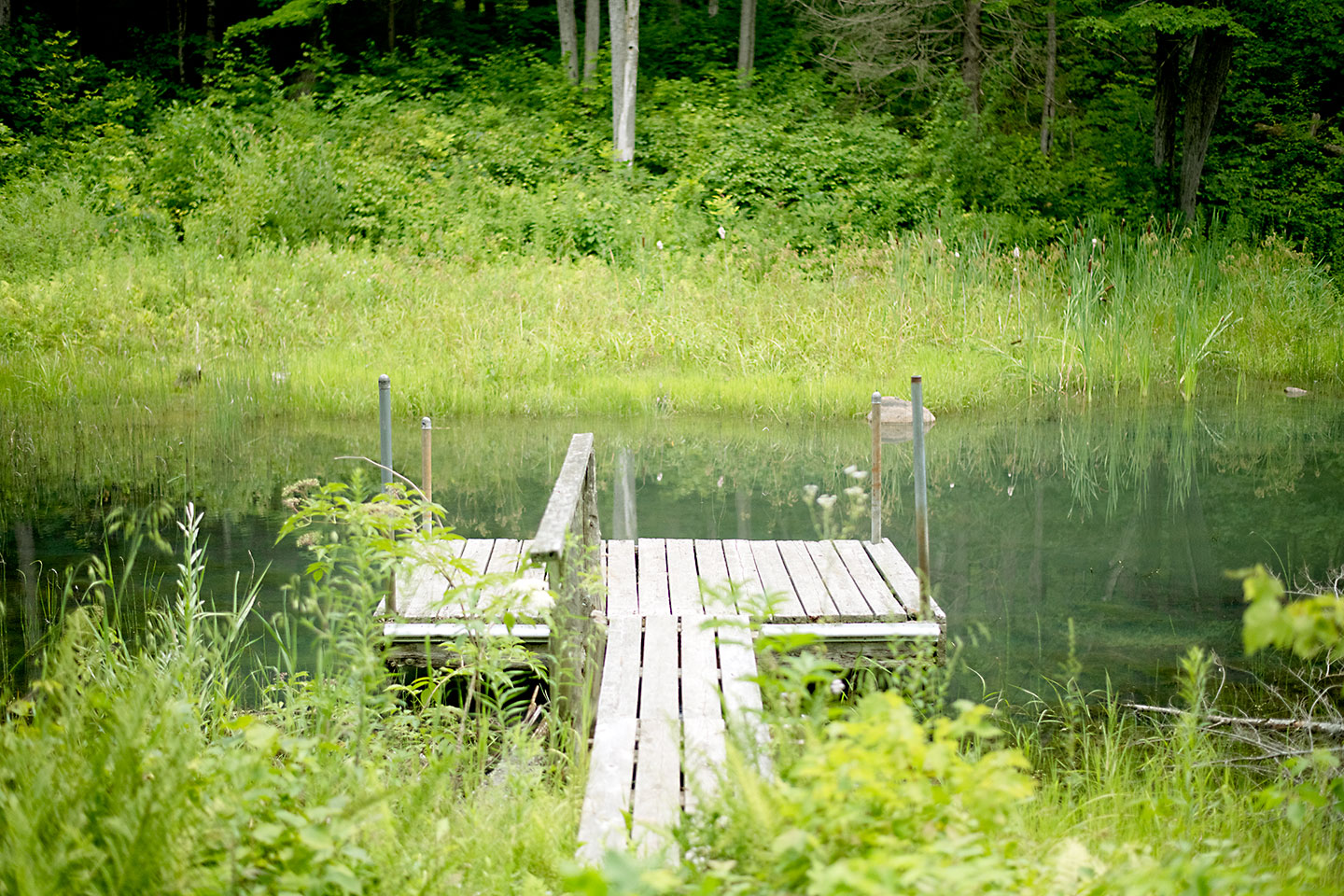 Education Dock at the Ganaraska Forest Ponds