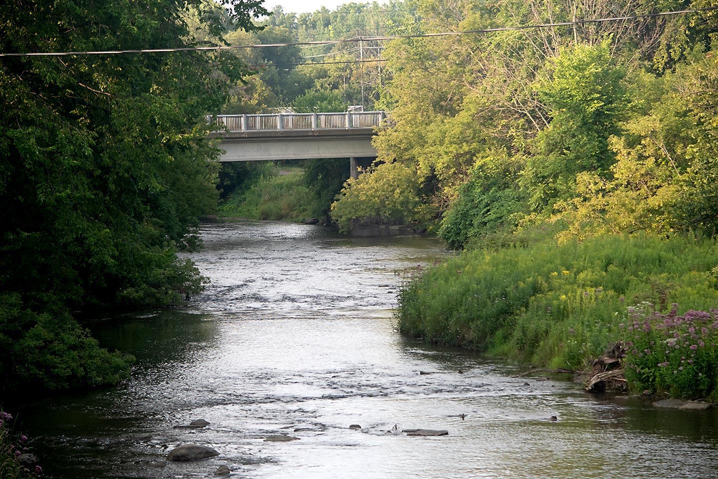 View of the Ganaraska River from Corbett's Dam