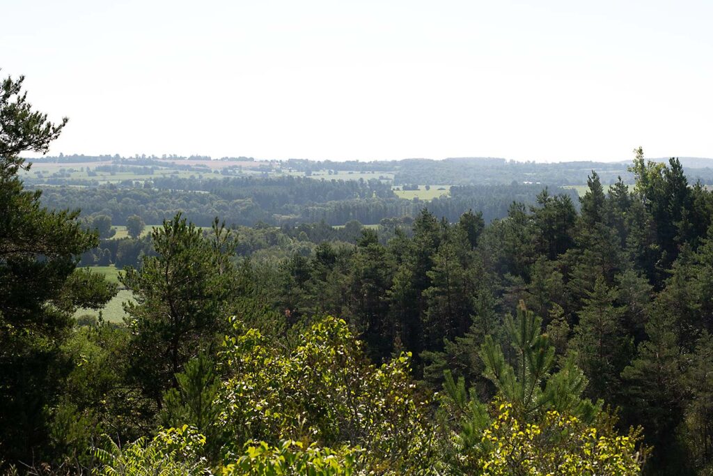 Richardson's Lookout Conservation Area Summer 2023