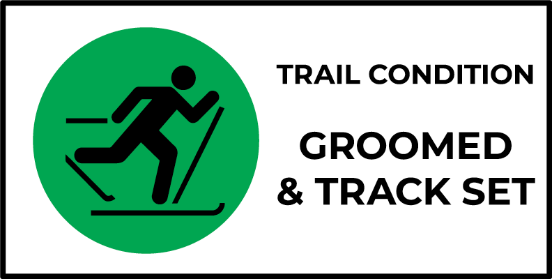 Ganaraska Forest Ski Trails: Groomed & Track Set