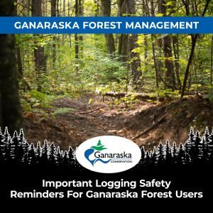 Important Safety Reminders For Ganaraska Forest Users