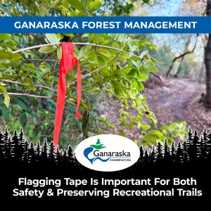 Flagging Tape Is Important For Both Safety & Preserving Recreational Trails