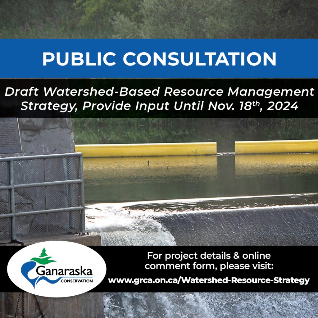 Public Consultation: Draft Watershed-Based Resource Management Strategy open until Nov. 18th, 2024