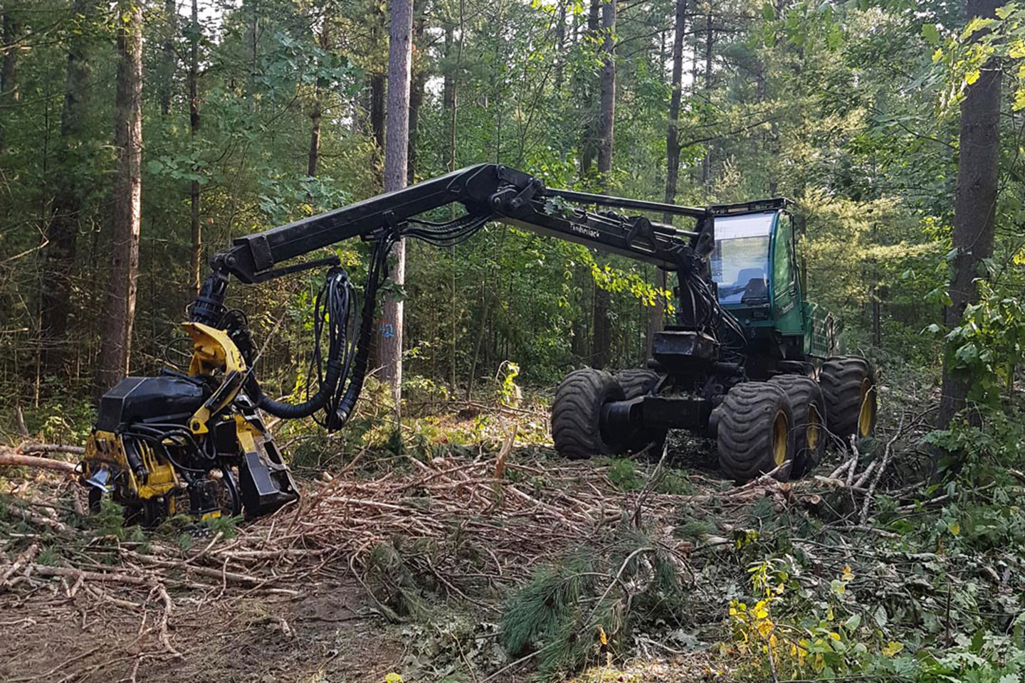Important Logging Safety Reminders For Ganaraska Forest Users ...