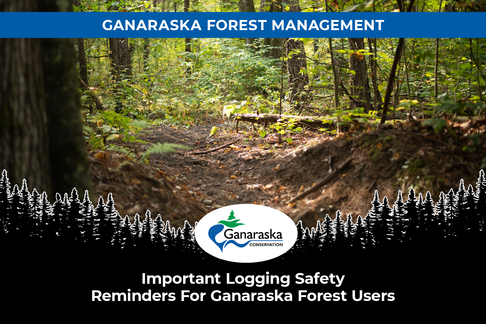 Important Logging Safety Reminders For Ganaraska Forest Users