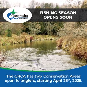 Ganaraska Conservation has two conservation areas available to anglers, starting April 26th, 2025