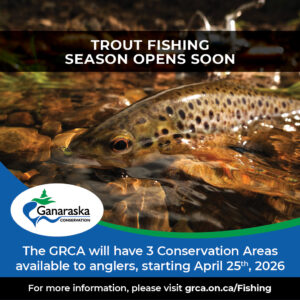 Trout Fishing Season Opes Soon: The GRCA will have 3 Conservation Areas available to anglers, starting April 25th, 2026