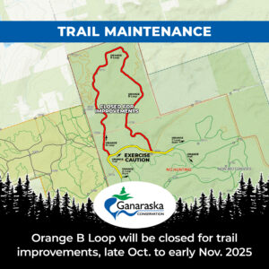 Trail Maintenance: Central Ganaraska Forest Orange B Loop closed for improvements