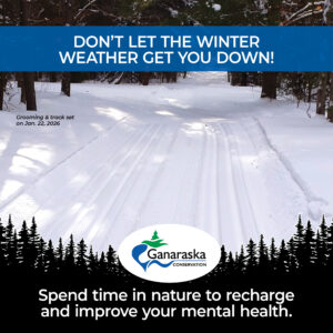 Don't let the winter weather get you down! Spend time in nature to recharge and improve your mental health. Consider visiting the Ganaraska Forest to get your dose of winter fun!