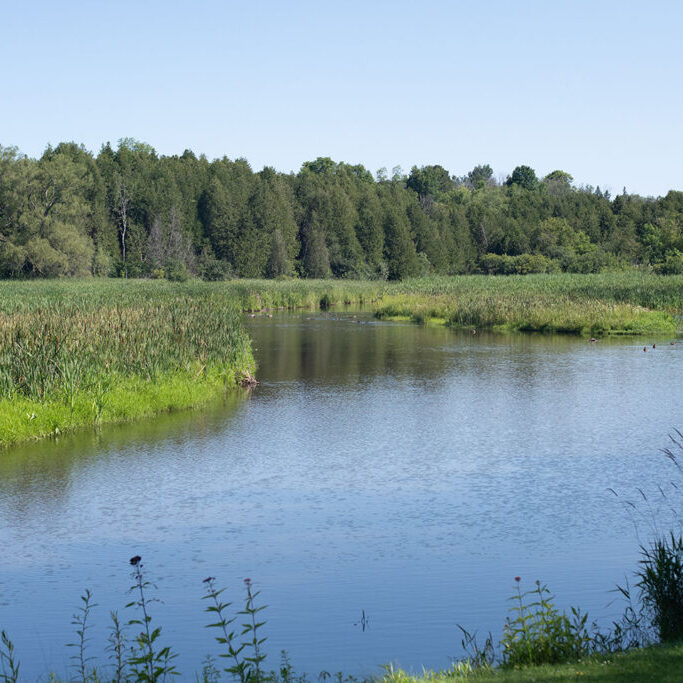 Balls Mill Conservation Area