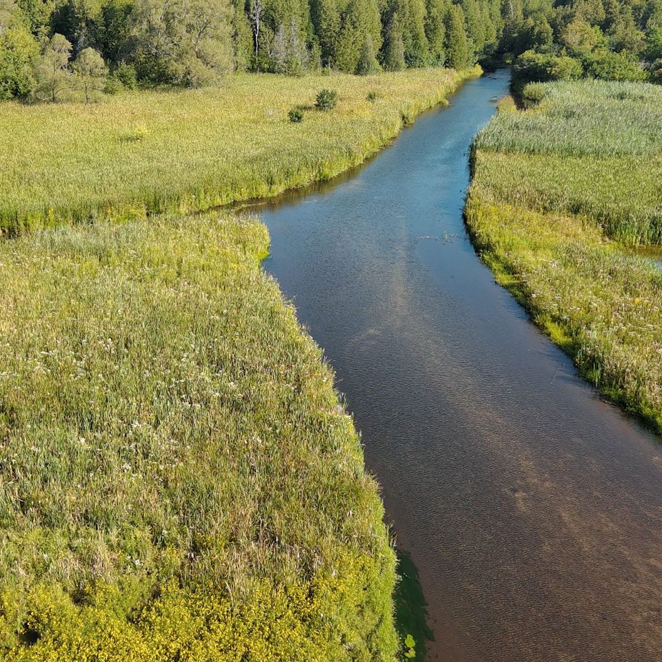 Aerial photo of wetlands and watercourse at Ball's Mill Conservation Area