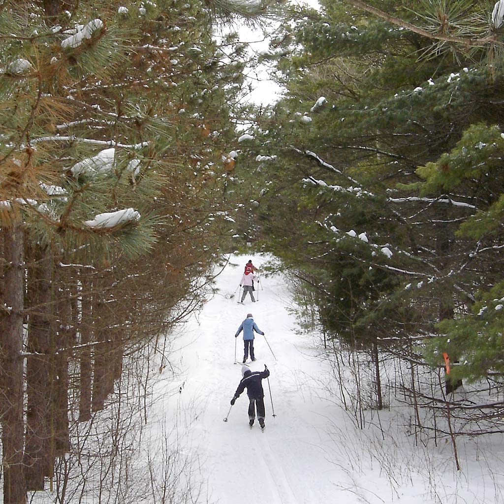 A group of kids cross-country skiing