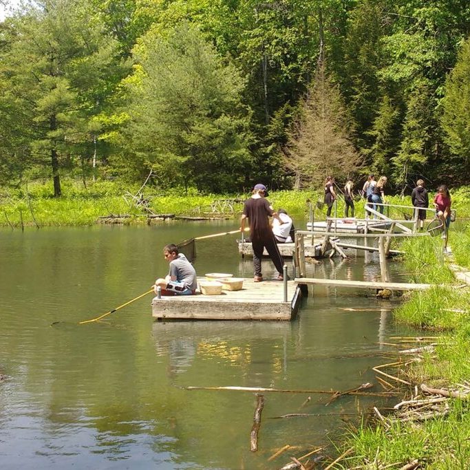 Students at the ponds in the Ganaraska Forest