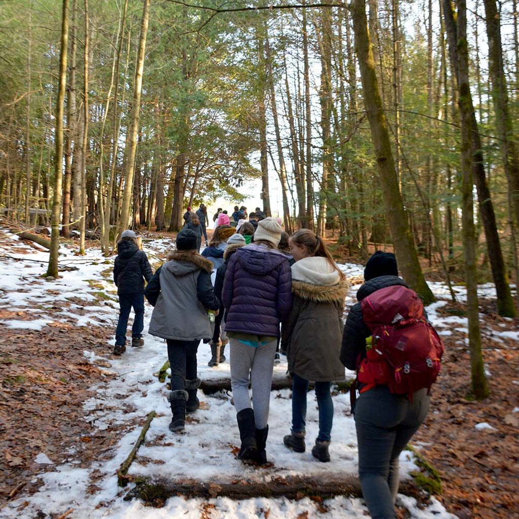 Students taking an early winter hike in the Ganaraska Forest