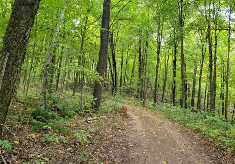 Ganaraska-Forest-Trail ganaraska forest trail