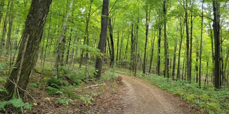 ganaraska forest trail