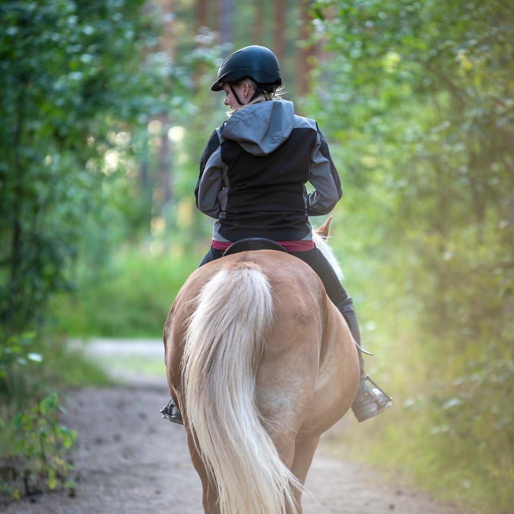 A woman rides a horse in the Forest