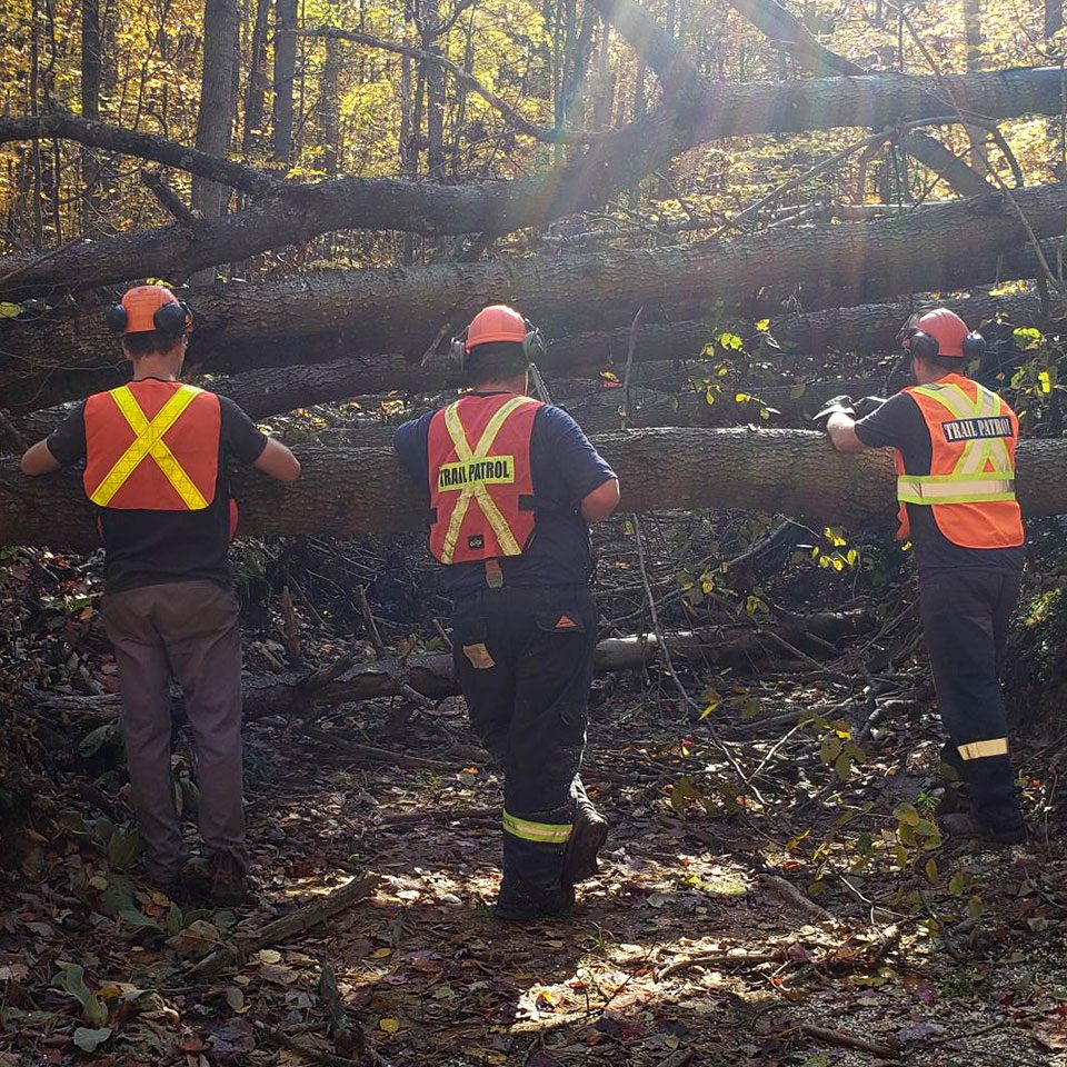 OFSC Volunteers help clear trails in the Ganaraska Forest