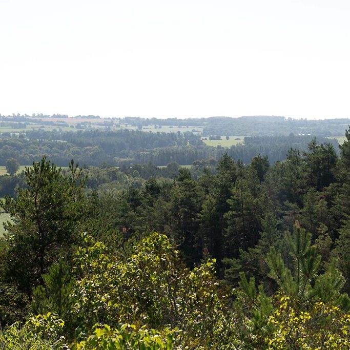 Richardson's Lookout Conservation Area Summer 2023