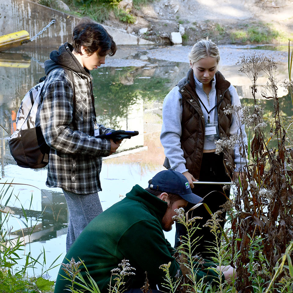 Student Volunteers during a BioBlitz