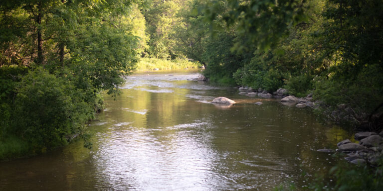 The view down the Ganaraska River at Sylvan Glen Conservation Area