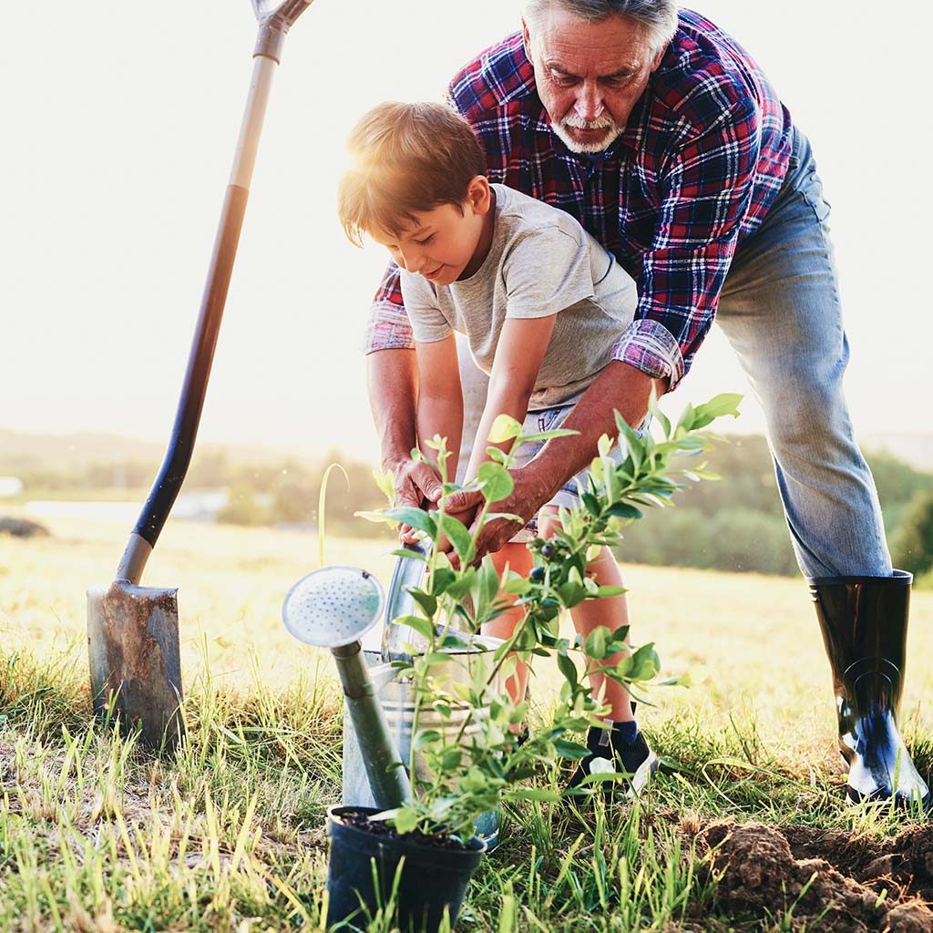 Grandfather planting a tree with a child
