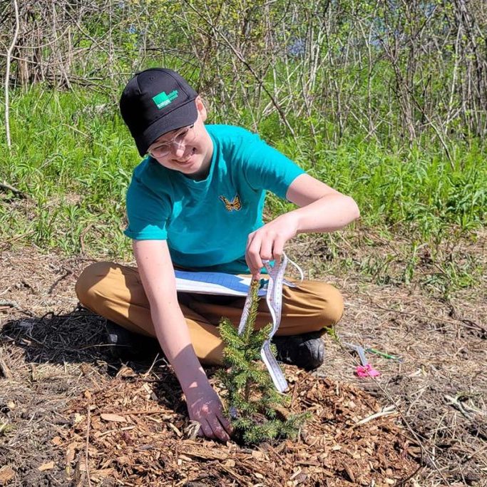 Volunteer measures a tree sapling at Sylvan Glen CA