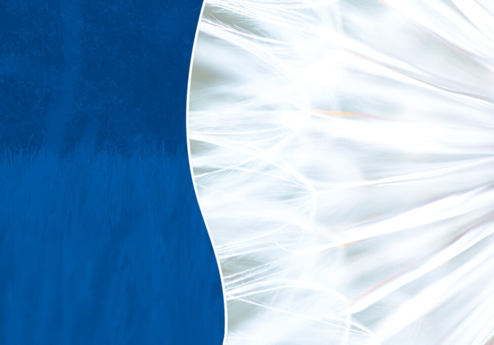 grca website header speaker series 01