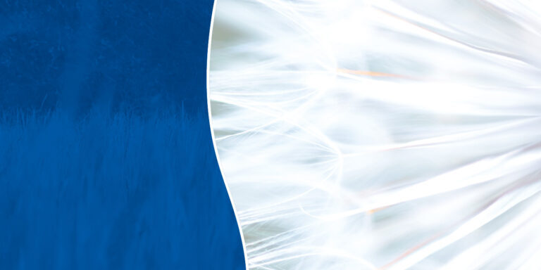 grca website header speaker series 01