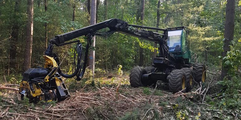 Logging harvester in the Ganaraska Forest