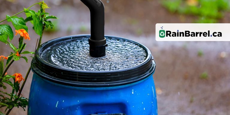 Rain barrel collecting rain in a garden with RainBarrel.ca logo overlay