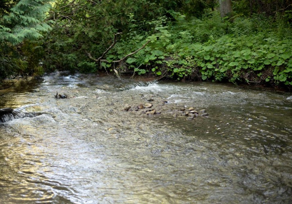 Creek running through Thurne Parks Conservation Area
