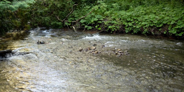 Creek running through Thurne Parks Conservation Area